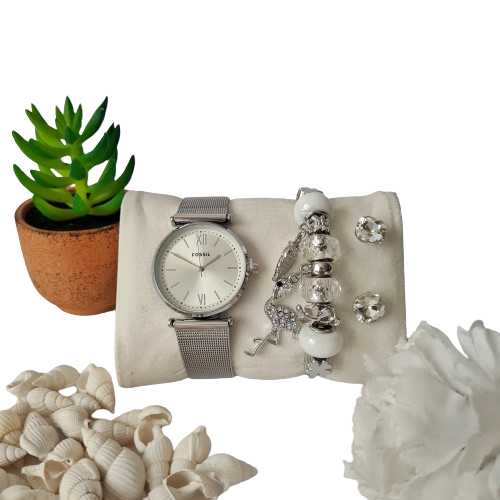 Fossil Set