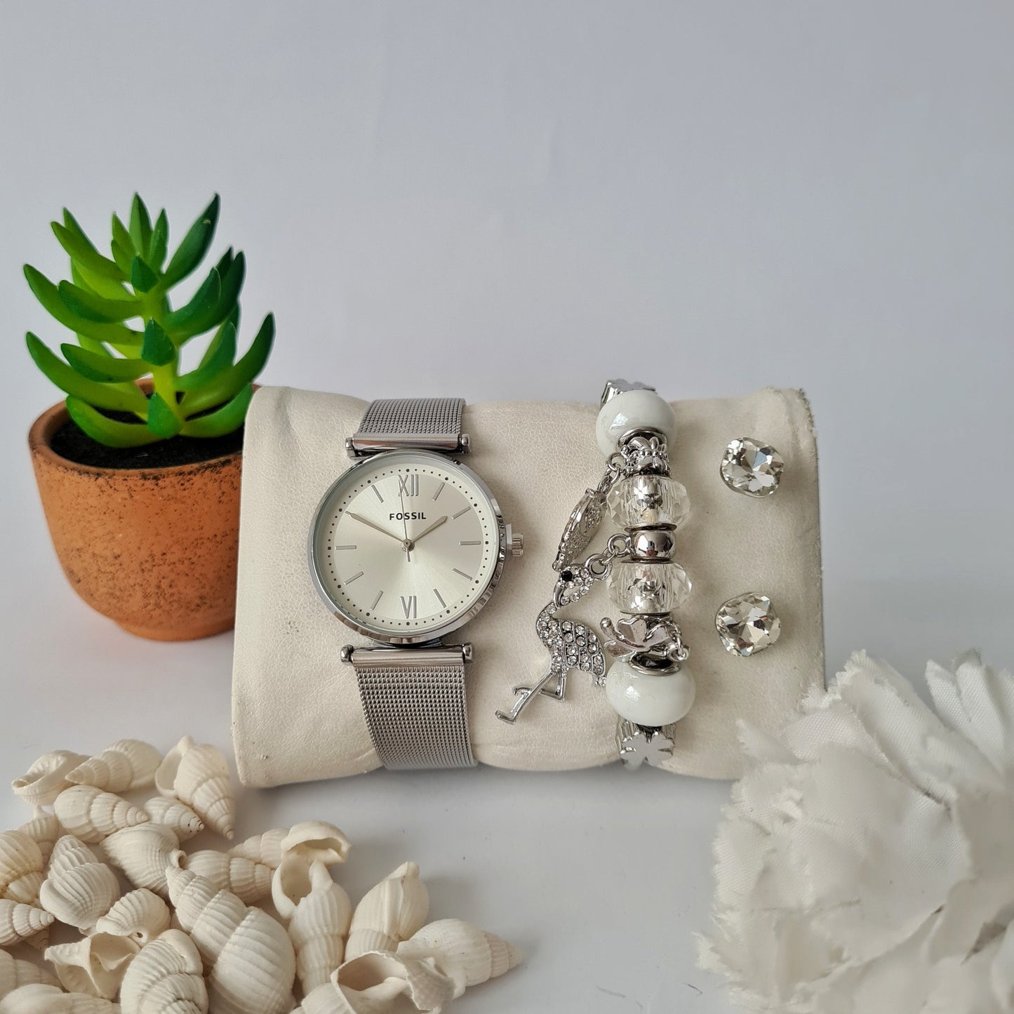 Fossil Set